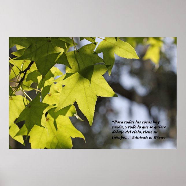 Póster Eclesiastes 3:1 con Hojas (Frente)