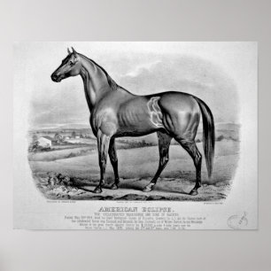 Póster Eclipse americano