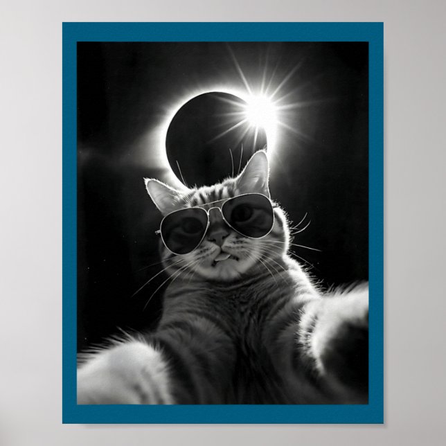 Póster Eclipse solar divertido Eclipse solar total (Frente)