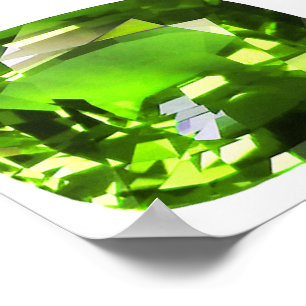 Póster Ecologista