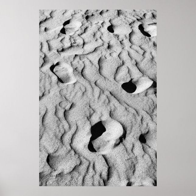 Póster Ecos En La Arena, Fotografía Bella Artes (Frente)