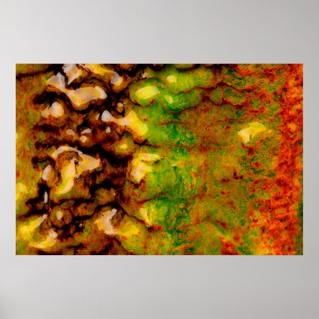 Póster Ecosistema térmico (Frente)