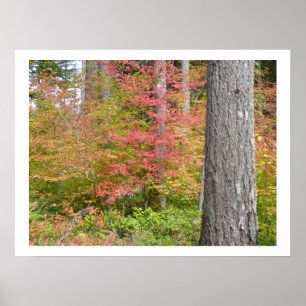 Póster Ed Sutton - Árbol de otoño