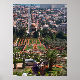 Póster Eden's grace