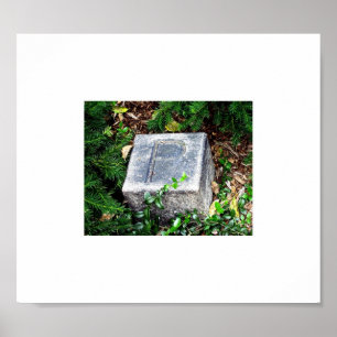 PÓSTER EDGAR ALLAN POE FOOT MARKER BALTIMORE MD 021911