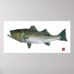 Póster Edición abierta de striping Bass Gyotaku