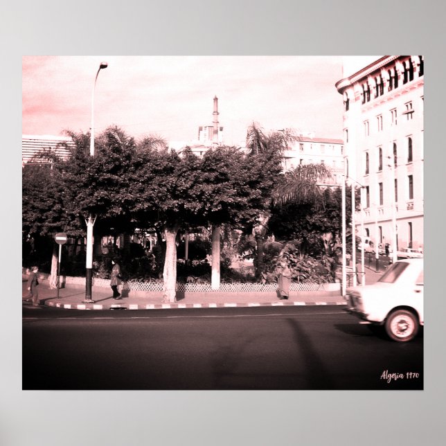 Póster Edificio de coches vintage Argelia Argel (Frente)