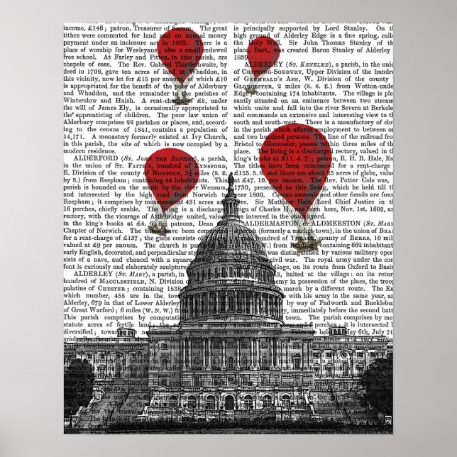 Póster Edificio del Capitolio de Estados Unidos y globos  (Frente)