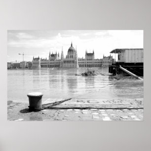 Póster Edificio del Parlamento húngaro a través del río D