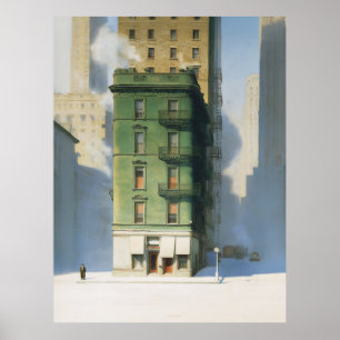 Póster Edificio verde en invierno en Nueva York