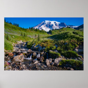 Póster Edith Creek and Mount Rainier Morning Light