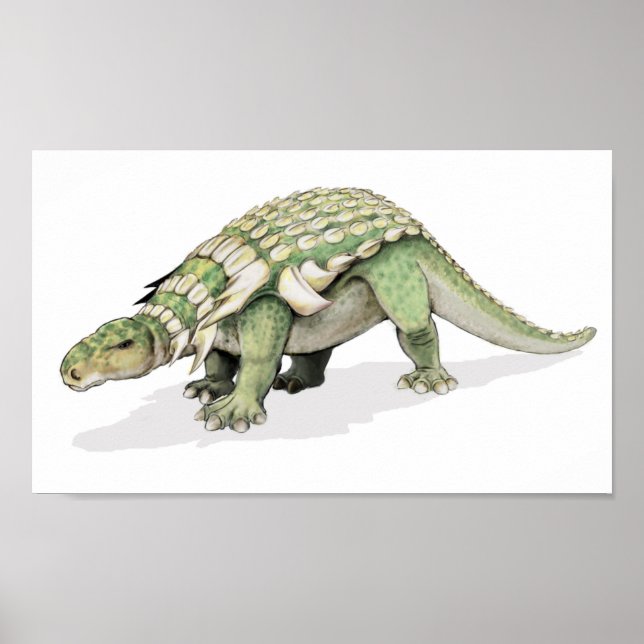 Póster Edmontonia - Cartera de dinosaurios blindados (Frente)