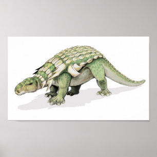 Póster Edmontonia - cartera del dinosaurio acorazado