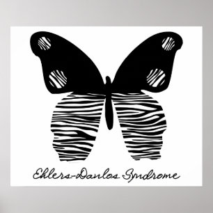 Póster EDS Zebra Stripe Butterfly 24X20 Poster