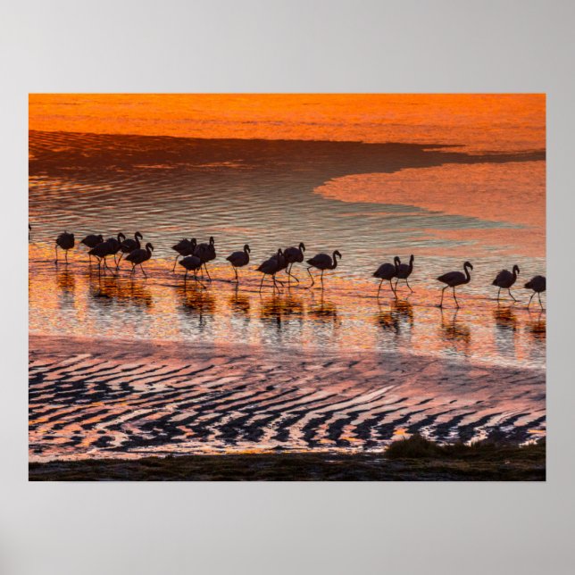 Póster Eduardo Abaroa Andean Fauna National Reserve (Frente)