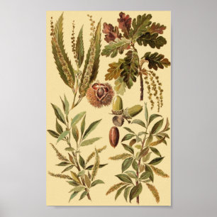 Póster Educación de vintage