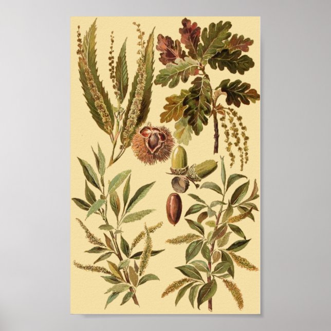 Póster Educación de vintage (Frente)