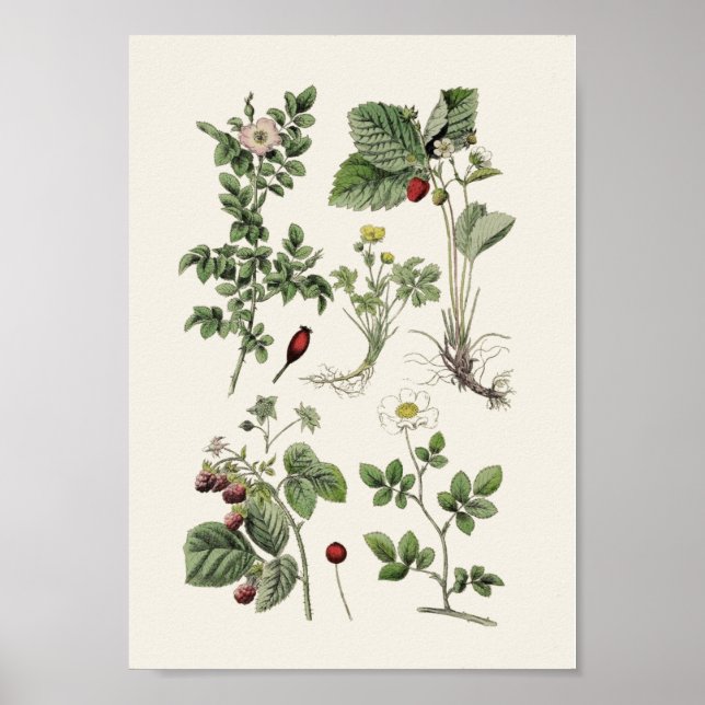 Póster Educación de vintage (Frente)