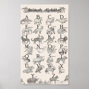 Póster Educación del alfabeto animal