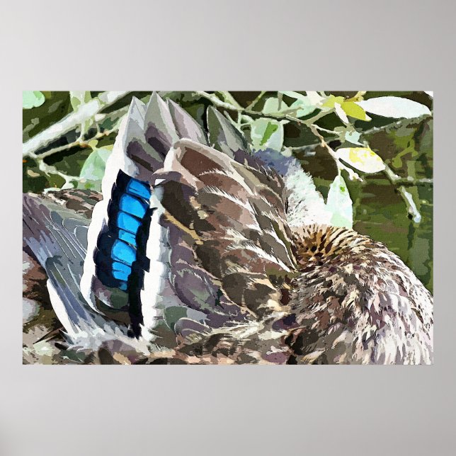 PÓSTER EDUCADORES DE PATO (Frente)