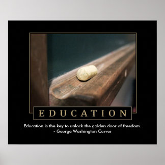 Póster Education Poster
