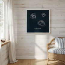 Poster Educativo Aurelia aurita