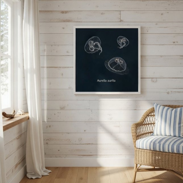 Poster Educativo Aurelia aurita (Subido por el creador)