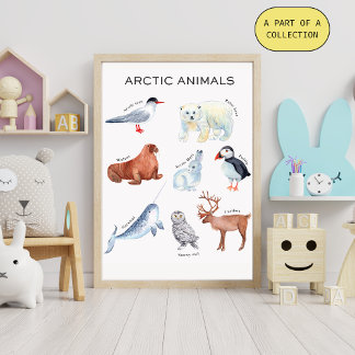 Póster Educativo de Animales Árticos
