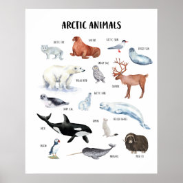 Póster Educativo de Animales Árticos para Aula