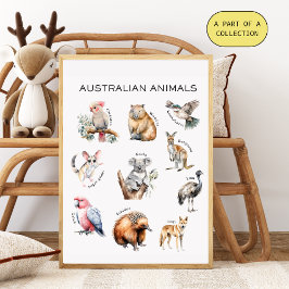 Poster educativo de animales australianos