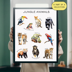 Poster educativo de animales de la jungla