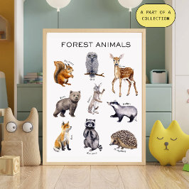 Póster Educativo de Animales del Bosque