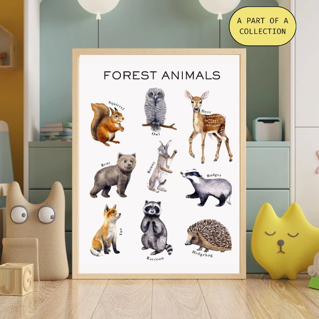 Póster Educativo de Animales del Bosque (Subido por el creador)
