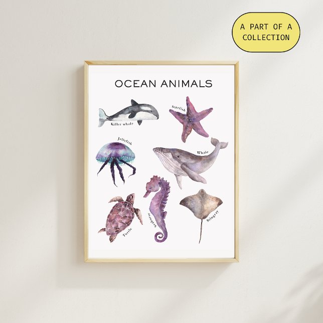 Póster educativo de animales del océano (Subido por el creador)