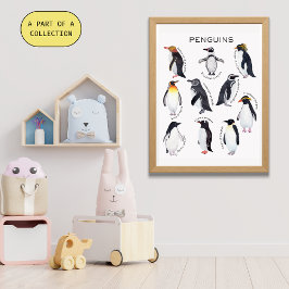 Poster educativo de los pingüinos