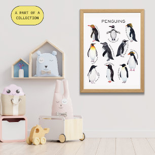 Poster educativo de los pingüinos