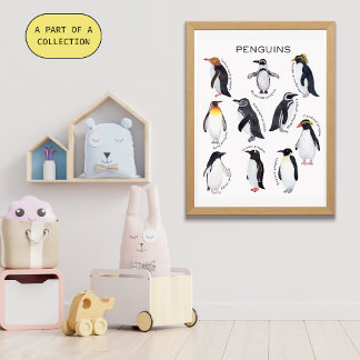 Poster educativo de los pingüinos
