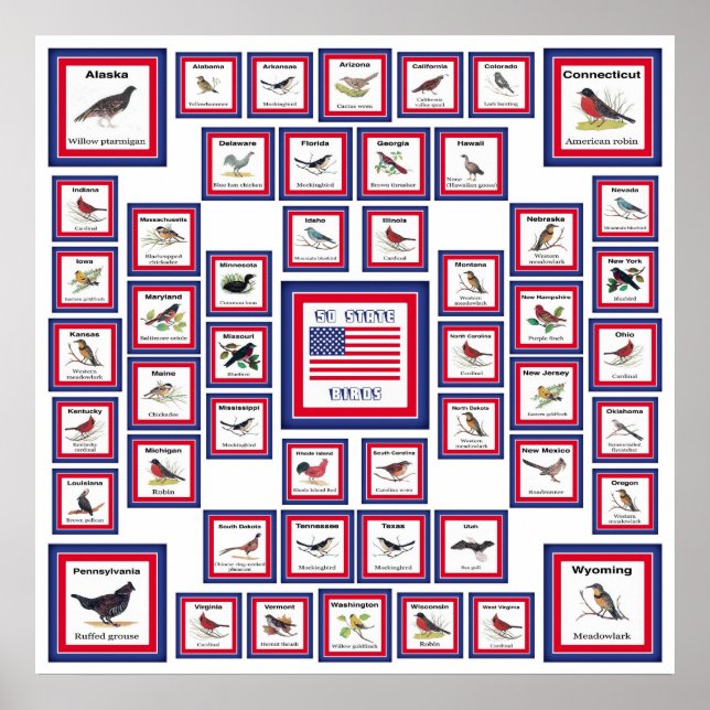 PÓSTER EE.UU. 50 AVES ESTATALES BLANCAS/553 (Frente)