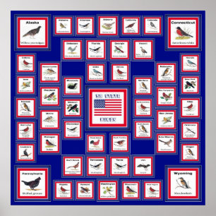 PÓSTER EE.UU. 50 AVES ESTATALES BLUE/552