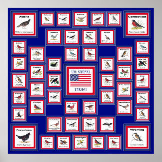 PÓSTER EE.UU. 50 AVES ESTATALES BLUE/552