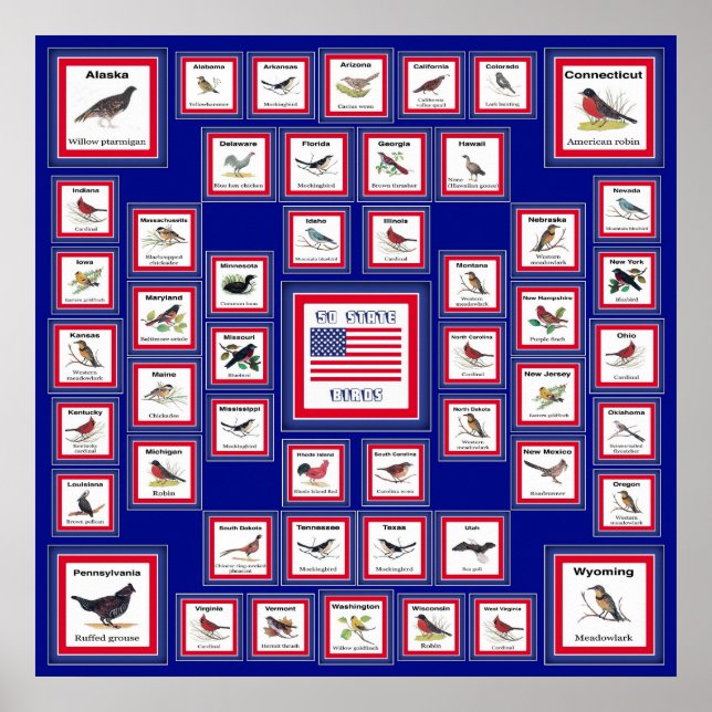 PÓSTER EE.UU. 50 AVES ESTATALES BLUE/552 (Frente)