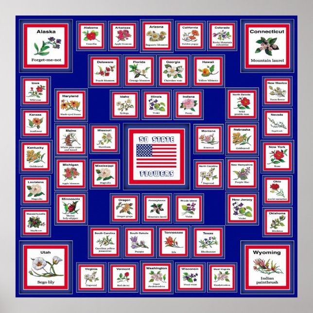 PÓSTER EE.UU. 50 FLORES ESTATALES AZUL/558 (Frente)
