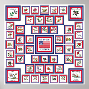 PÓSTER EE.UU. 50 FLORES ESTATALES BLANCO/559