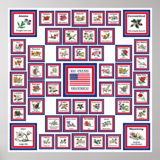 PÓSTER EE.UU. 50 FLORES ESTATALES BLANCO/559