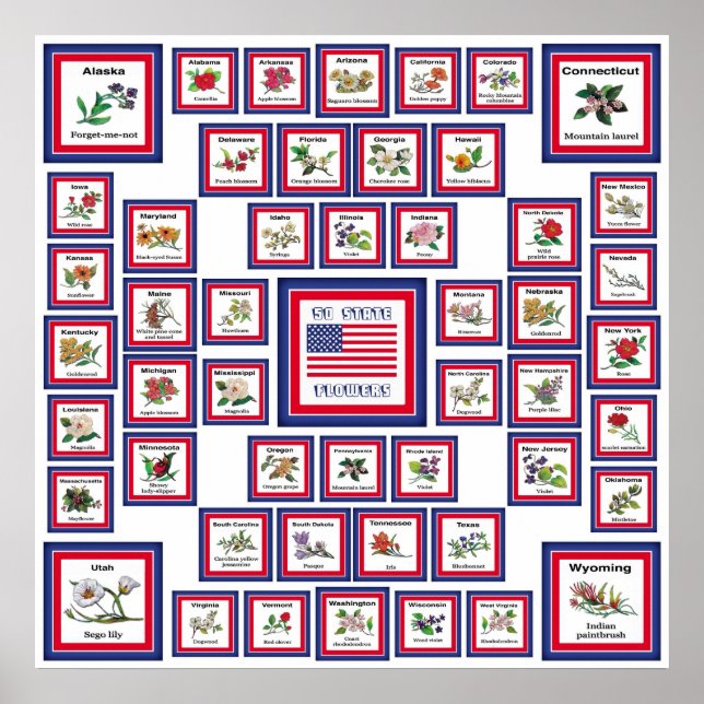 PÓSTER EE.UU. 50 FLORES ESTATALES BLANCO/559 (Frente)