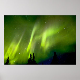 Póster EE. UU., Alaska, Chena Hot Springs. Aurora 3