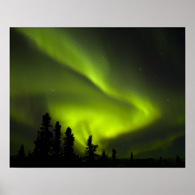 Póster EE. UU., Alaska, Chena Hot Springs. Aurora Boreali (Frente)