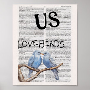 PÓSTER EE.UU. — AMBEBIRS