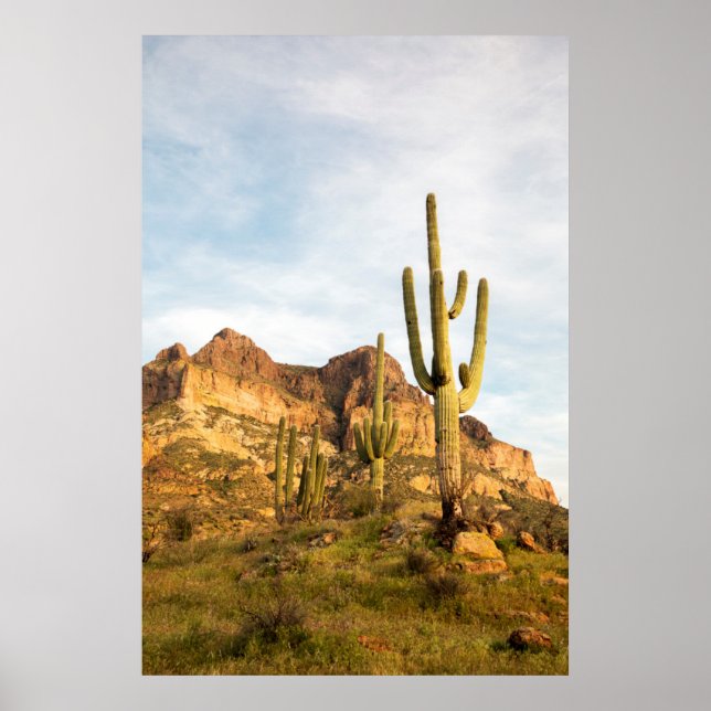 Póster EE. UU., Arizona, Bosque Nacional Tonto, Picketpos (Frente)
