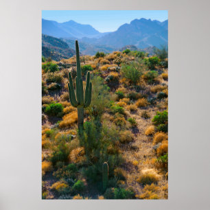Póster EE.UU., Arizona. Vista del desierto